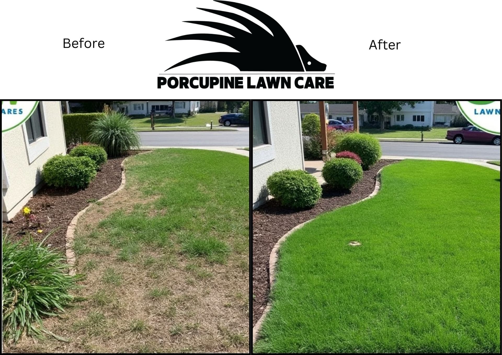 Complete Yard Transformation